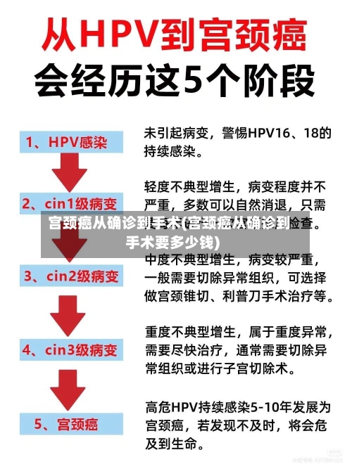 宫颈癌从确诊到手术(宫颈癌从确诊到手术要多少钱)-第1张图片
