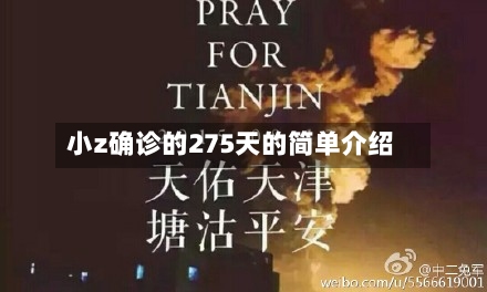 小z确诊的275天的简单介绍-第1张图片