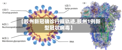 【胶州新冠确诊行程轨迹,胶州1例新型冠状病毒】-第1张图片