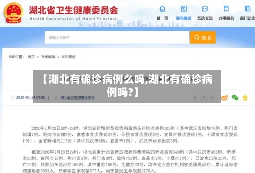 【湖北有确诊病例么吗,湖北有确诊病例吗?】-第1张图片
