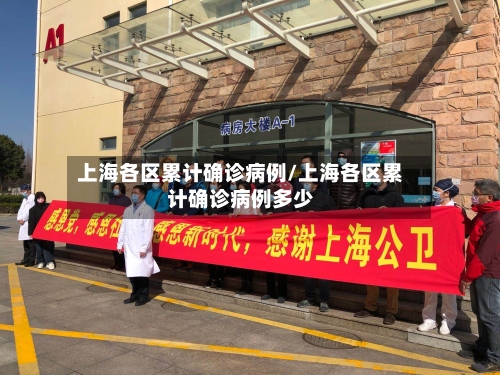 上海各区累计确诊病例/上海各区累计确诊病例多少-第1张图片