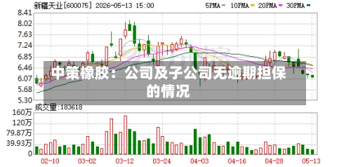 中策橡胶：公司及子公司无逾期担保的情况-第1张图片